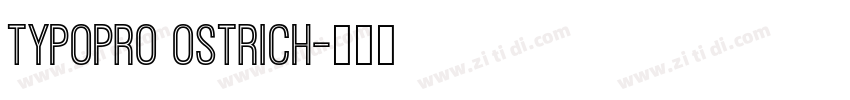 TypoPRO Ostrich字体转换